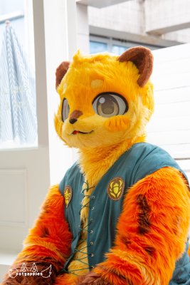 _PPL6855