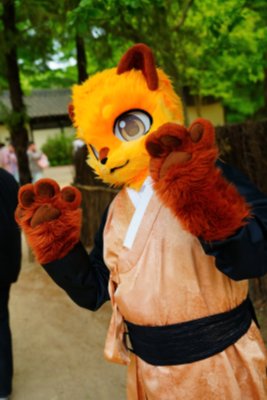 DSC09393