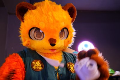 DSC00359-2