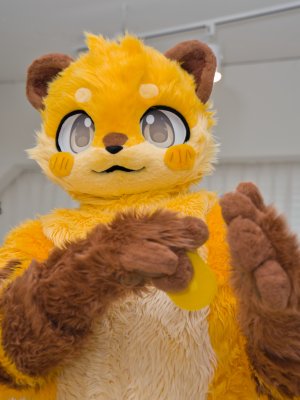 DSC03206