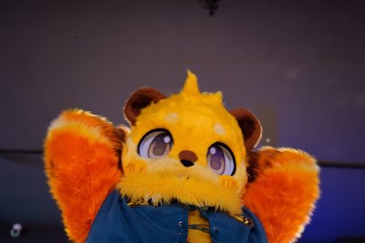 DSC00308