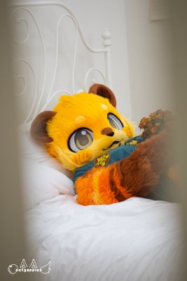 _PP47922