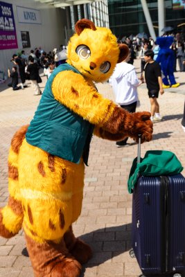 260524_2_PlayX4-115