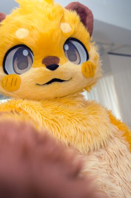DSC03210