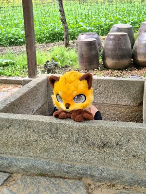 KakaoTalk_20260505_180018541_20